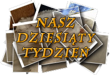 Nasz dziesiąty tydzień