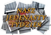 Nasz jedenasty tydzień