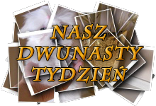 Nasz dwunasty tydzień
