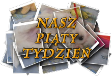 Nasz piąty tydzień