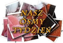 Nasz ósmy tydzień